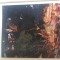Adrian Ghenie Darwin&#039;s room album pictura