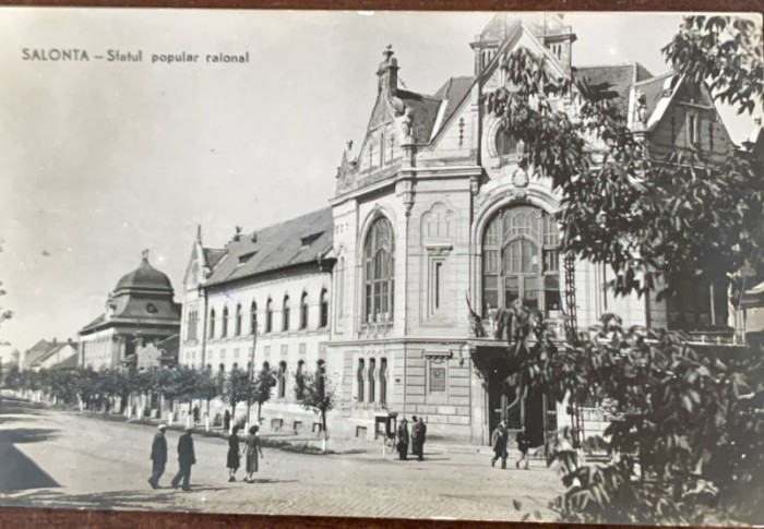 Carte postala Salonta