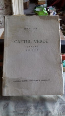 CAETUL VERDE - ION PILLAT foto