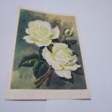 Cumpara ieftin CARTE POSTALA RUSEASCA FELICITARE CIRCULATA