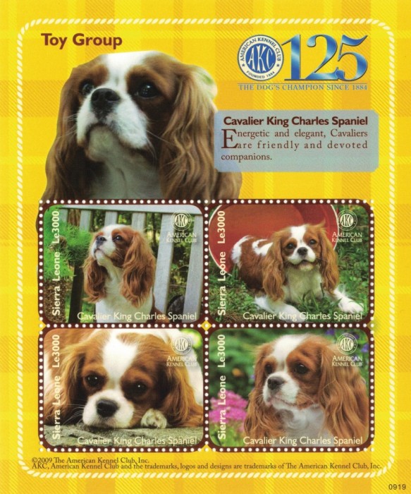 SIERRA LEONE 2009 - Caini de rasa / colita MNH