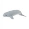 Figurina Pui de Beluga M Collecta
