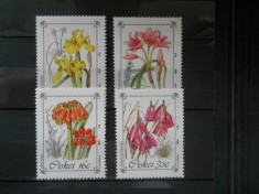 CV2 SERIE AFRICA DE SUD, CISKEI FLORA