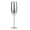 Pahar, pentru sampanie, din Otel inoxidabil, Silver, argintiu, 25.5 x 6.5 x 5 cm, ergonomic si usor de manevrat, 280 ml, Oem