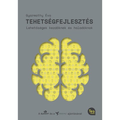 Tehets&amp;eacute;gfejleszt&amp;eacute;s - Lehetős&amp;eacute;gek kezdőknek &amp;eacute;s halad&amp;oacute;knak - Dr. Gyarmathy &amp;Eacute;va foto