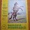 romania pitoreasca octombrie 1990-art. loc. cotnari,sulina,botosani