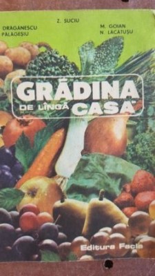 Gradina de linga casa- Z. Suciu, M. Goian foto