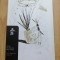 Gonnelli Casa d&#039;Aste, Catalogo 2014. LIBRI, MANOSCRITTI, STAMPE E DISEGNI