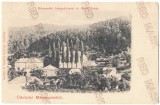 581 - COSTIUI, Maramures, Panorama, Litho, Romania - old postcard - unused, Necirculata, Printata