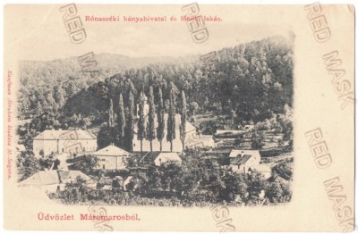 581 - COSTIUI, Maramures, Panorama, Litho, Romania - old postcard - unused foto