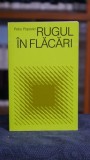 Rugul in flacari Viata Dwight L Moody Petru Popovici Editura Lumina Lumii 2000 Biografie