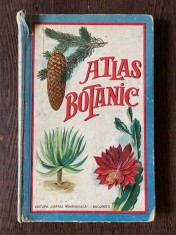 Atlas Botanic (1930) foto