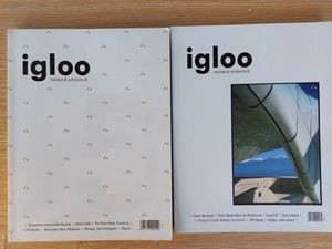 2 reviste Igloo foto