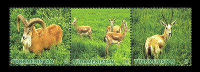 TURKMENISTAN 2009 FAUNA GAZELE SI OI SALBATICE foto