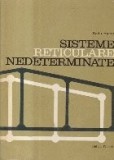 Sisteme Reticulare Nedeterminate (Agent)