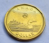 106. Moneda Canada 1 dollar 2021 (Common Loon, Loonie), America de Nord