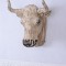 Cap de bou - statueta din rasini YAC023