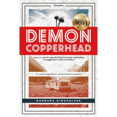 Demon Copperhead - Barbara Kingsolver foto