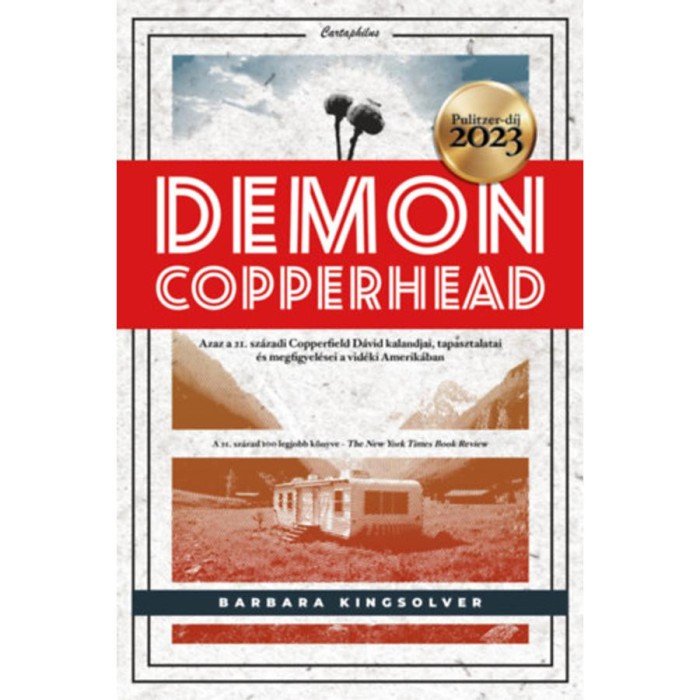 Demon Copperhead - Barbara Kingsolver