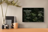 Tablou Canvas Frunze Tropicale &icirc;n Umbră - Artă Natură, 39 x 26 cm, CMCLASS