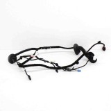 Cablaj ușă dreapta spate TESLA MODEL 3 2019 OEM: 2067966-00-A 11496392