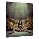 Tablou Canvas, Tablofy, Fallen Angel, Printat Digital, 70 &times; 100 cm