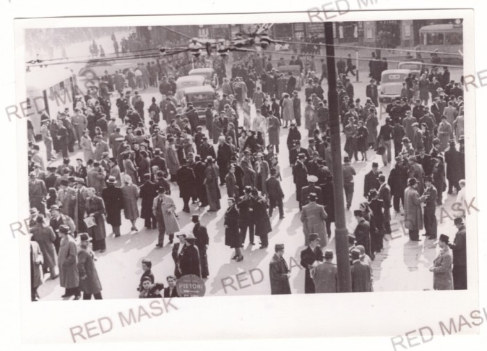 5301 - BUCURESTI, Market, old cars (18/13 cm) - old Press PHOTO - 1940