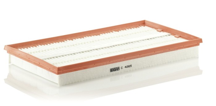 Filtru Aer Mann-Filter C4265