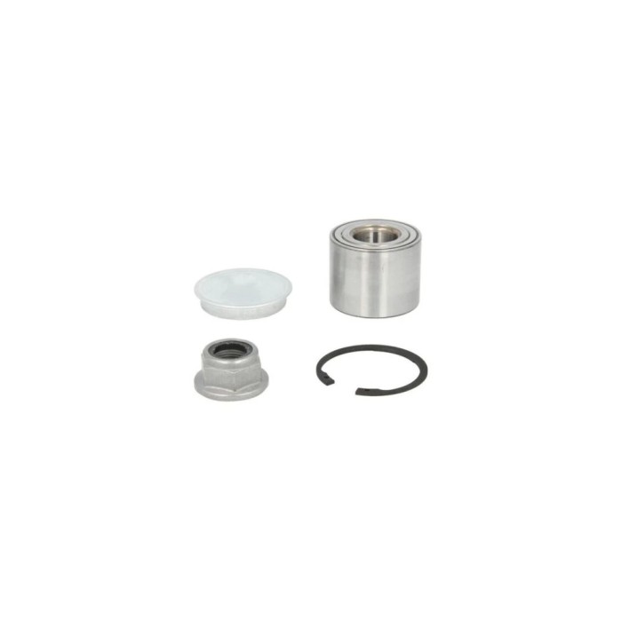 Set rulment roata RENAULT KANGOO Express FC0 1 BTA H2R016BTA