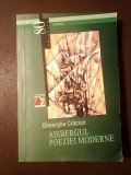 Gheorghe Crăciun - Aisbergul poeziei moderne (cu un Argument al autorului; postf. Mircea Martin)