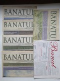 Lot 6 reviste Banatul Montan (singurele numere publicate), Resita, 2005-2006 Banat / Caras