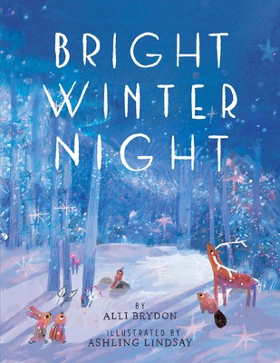 Bright Winter Night foto