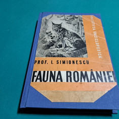 FAUNA ROMÂNIEI * CU 456 FIGURI ÎN TEXT / I. SIMIONESCU / 1946 *