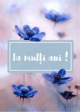 Felicitare - La multi ani! | deDrag