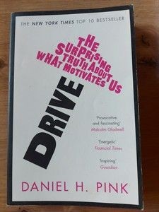 Drive The Surprising Truth About What Motivates Us- Daniel H. Pink foto