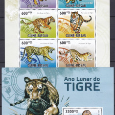 DB1 Fauna Guineea Anul Tigrului Tigri MS + SS MNH