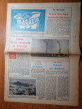 Magazin 16 august 1980, Nicolae Iorga