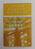 TREZIREA MINTII LUMINOASE de TENZIN WANGYAL RINPOCHE , MEDITATIE TIBETANA , 2017
