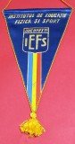 Fanion (matase) - institutul de Educatie Fizica si Sport- IEFS BUCURESTI
