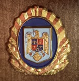 QW14 - Emblema militara - anii 1990 - servicii - piesa de colectie