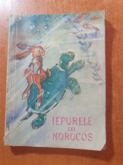 cartea &amp;quot; iepurele cel norocos &amp;quot; anul 1961 foto