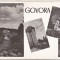 bnk cp Govora - Vedere - uzata