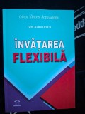 Invatarea flexibila- Ion Albulescu