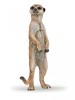 Figurina Suricata Papo, Jucarie Realista Pictata Manual, 5x2x7cm, +3 Ani, Animale Salbatice