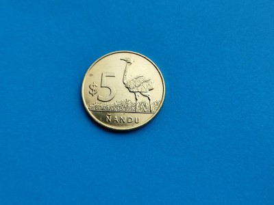 5 Nandu 2019 Uruguay-AUNC foto