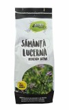 Samanta Lucerna Romaneasca DOBROGEA C1 Baza 4 AGRO, 10kg, Rezistenta Seceta, Productie Mare