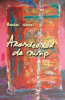 Acordeonul de nisip : Andrei Gazsi foto
