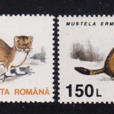 ROMANIA 1993 LP 1318 ANIMALE 150 L EROARE CULOARE+PATA PE COADA MNH