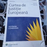 Sergiu Deleanu, Gyula Fabian, Bogdan Ionita - Curtea de Justitie Europeana