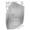 What&#039;s Next Is Now - Tervezd a jelent - form&aacute;ld a j&ouml;vőt! - Frederik Pferdt